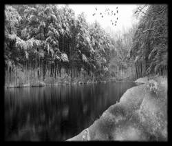 Vannvidd : Vannvidd - Land Of Ice